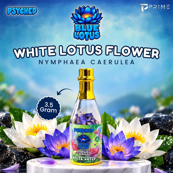 Phsyched Blue Lotus Flower Nymphaea Caerulea 7G Features