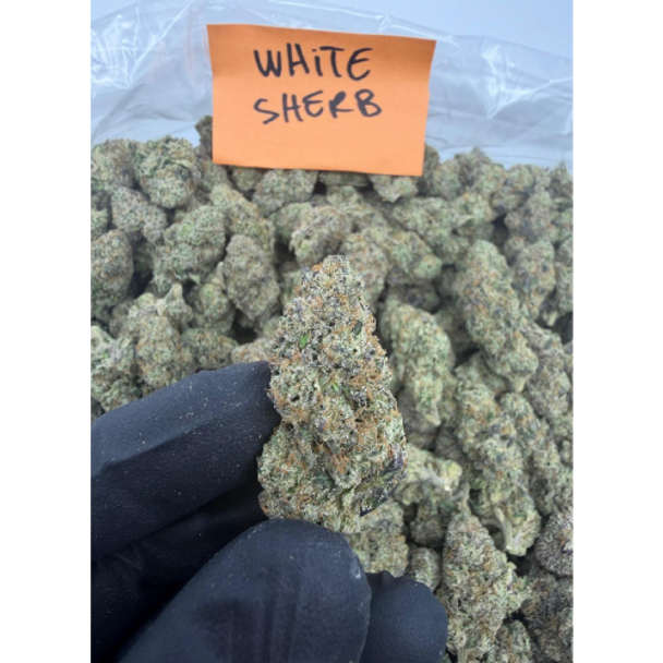 Bulk Indoor THCA Flower White Sherb