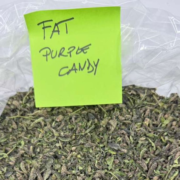 Bulk Indoor Trim THCA Flower Fat Purple Candy