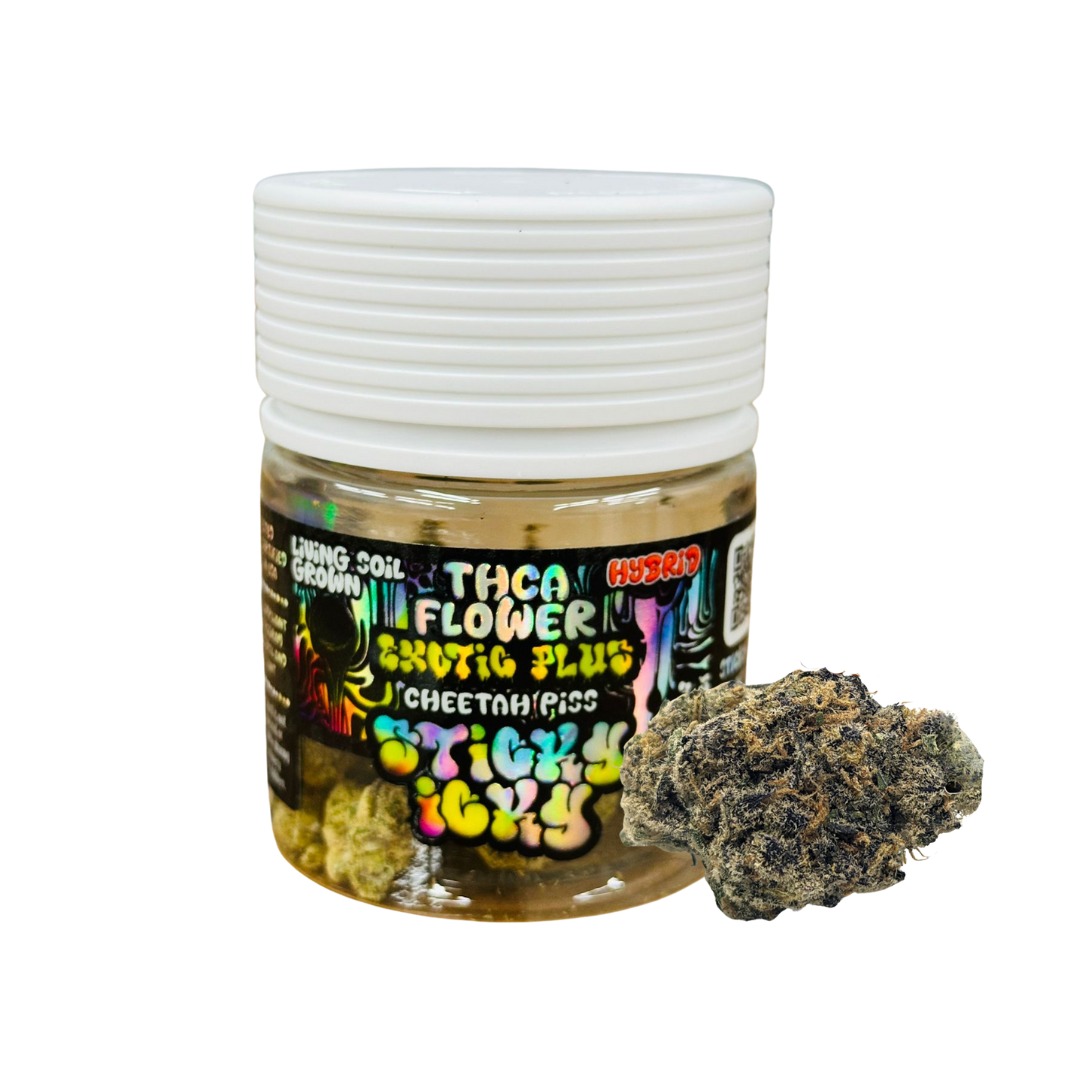 WhatsApp_Image_2025-05-