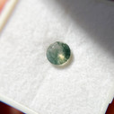 Delicate Vine Round Cut Moss Agate