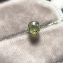 Rough Australian Light Green Sapphire (1113)