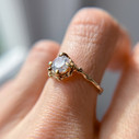 14K Yellow Gold Naples Diamond Solitaire Ring by Olivia Ewing Jewelry