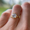 14K Yellow Gold Supreme Naples Diamond Solitaire Ring by Olivia Ewing Jewelry