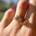14K Yellow Gold Naples Grande Diamond Half Halo Ring by Olivia Ewing Jewelry