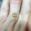 Uncut Yellow Montana Sapphire