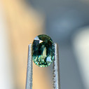 Oval Teal Green Australian Sapphire - 1248