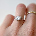 14K White Gold Demi Naples Moissanite Solitaire Ring by Olivia Ewing Jewelry