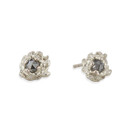 White Gold Isle Grey Diamond Earrings by Olivia Ewing Jewelry