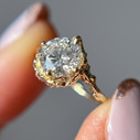 14K Yellow Gold Supreme Naples Diamond Solitaire Ring by Olivia Ewing Jewelry