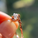 Montana Sapphire engagement ring and nature inspired engagement rings by Olivia Ewing Jewelry