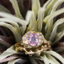 Diamond halo engagement ring with pink sapphire by Olivia Ewing Jewelry