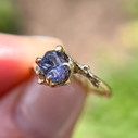14K Yellow Gold Naples John Dyer Tanzanite Solitaire Ring