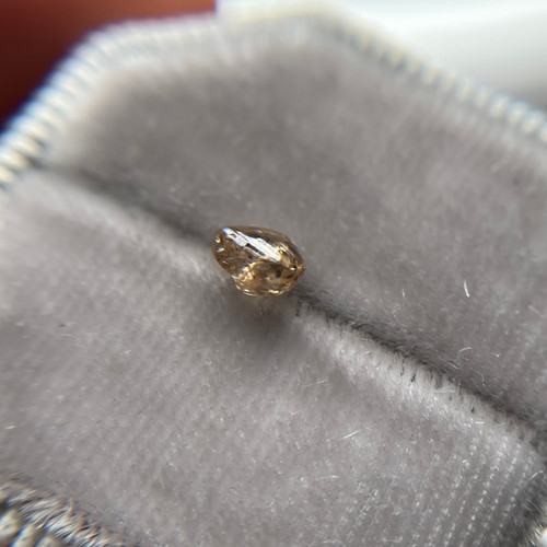 Rough Uncut Champagne Diamond/ Rough Uncut Champagne Diamond