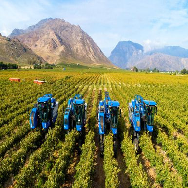 Wildlife Wine & Garden Route, South Africa