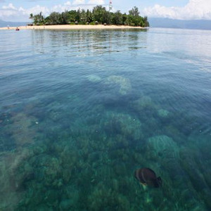 Bat Fish and Lighthouse, Australia