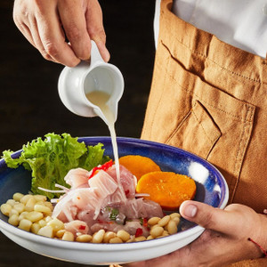 Plate of classic Peruvian ceviche tasted on Lima’s deluxe ceviche route