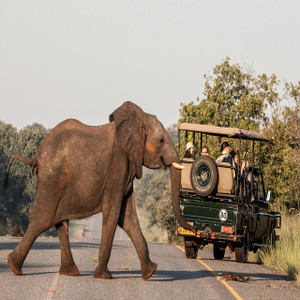 Ultimate Botswana & Victoria Falls Safari Expedition Ultimate Botswana & Victoria Falls Safari Expedition