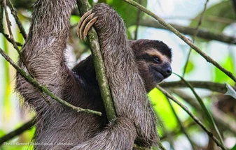 Costa Rica Tours from Australia & New Zealand: Which of Our Three Itineraries Fits