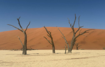 Southern Namibia: An Adventure Through Ancient Landscapes