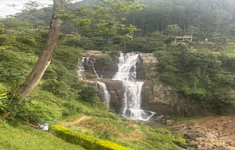 Discover Sri Lanka: A Journey Through Culture, Wildlife, & Beaches