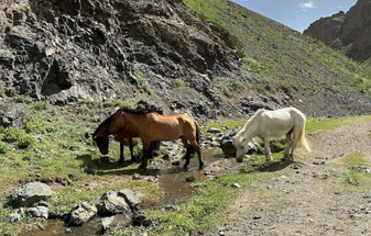 Discover Mongolia: The Ultimate Adventure in the Gobi Desert and Central Mongolia