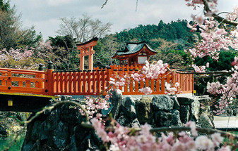 Japan Holidays from Australia & New Zealand: When to Go and How Far Ahead to Book