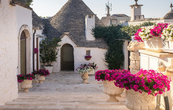 Gourmet Walking in Puglia: Inside Our 9-Day Small Group Tour