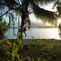 Discover the Solomon Islands: Exploring A Hidden Paradise