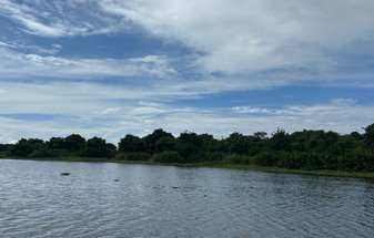 Sri Lanka’s East Coast Season: Trincomalee, Arugam Bay & the Cultural Triangle