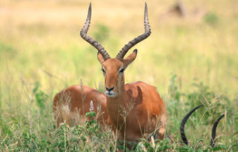 Top 7 Adventure and Tours Packages to Fuel Your Wanderlust