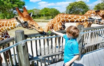 Family Holiday Packages from Australia: Plan a Trip Everyone Will Love
