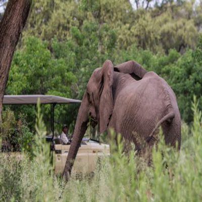 Dinaka, Kanana and Okuti, Botswana