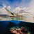Magic Island 6 Days Cebu, Philippines Magic Island 6 Days Cebu, Philippines