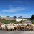Cyclist passing a flock of sheep on a quiet country road in the Salento countryside, Puglia, Italy