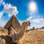Camel and rider in front of the Pyramids of Giza, Cairo, Egypt