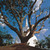 Explore Sri Lanka: Nature, Culture and Serenity Explore Sri Lanka: Nature, Culture and Serenity
