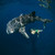 Experience Luxury 7 Days At Atmosphere Resort, Philippines Experience Luxury 7 Days At Atmosphere Resort, Philippines