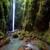 Experience Luxury 7 Days At Atmosphere Resort, Philippines Experience Luxury 7 Days At Atmosphere Resort, Philippines