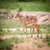 Wildlife Kambaku 1, South Africa