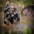 Wildlife Kambaku 4, South Africa