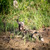 Wildlife Kambaku 3, South Africa