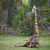 Giraffe - Tanzania Travel