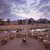 Landscapes Ruaha National Park, Tanzania