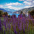 Bariloche Argentina, Patagonia