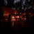 Discover Dulini Moya: A Sanctuary of Elegance and Adventure Discover Dulini Moya: A Sanctuary of Elegance and Adventure