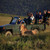 Game Drive - South Africa Travel