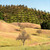 National Parks, Wineries and California Coast Adventures National Parks, Wineries and California Coast Adventures
