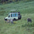 Safari Vehicle Side View, Tanzania
