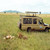 Safari Vehicle Side, Tanzania
